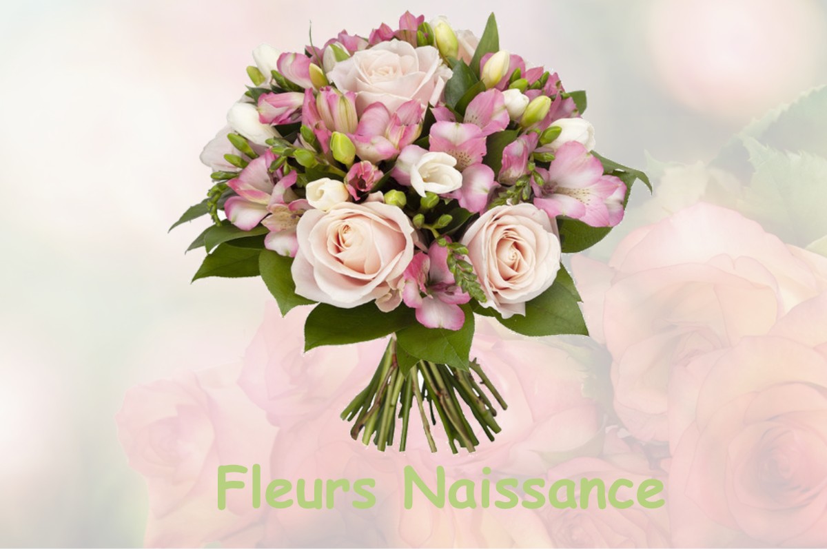 fleurs naissance FEINS-EN-GATINAIS