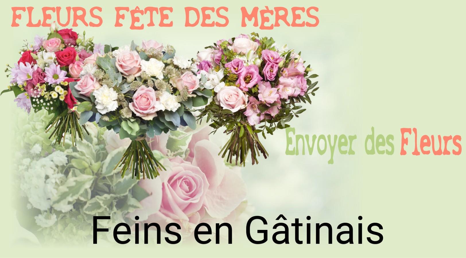 Bouquet de Fête des Mères livré à Feins-en-Gâtinais